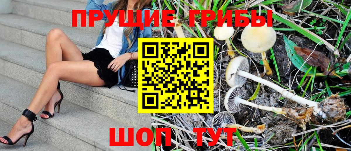 Галлюциногенные грибы Psilocybe  Вход с VPN  Галлюциногенные грибы ЛСД  Златоуст 